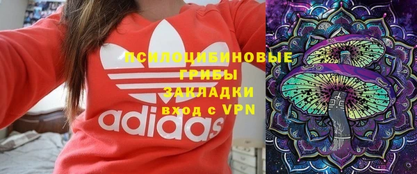 стаф Абаза