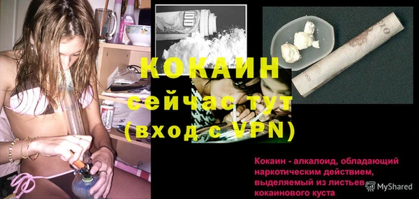 стаф Абаза