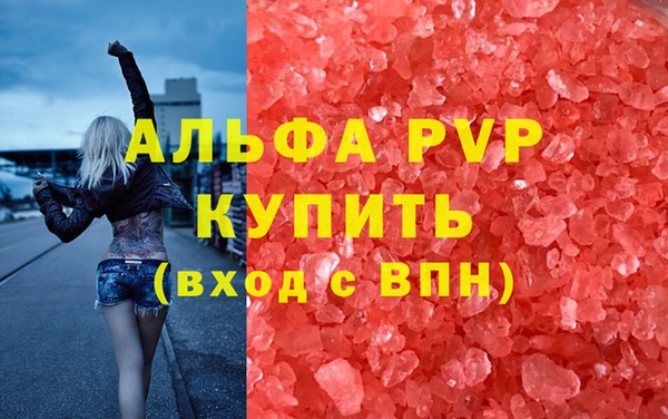 стаф Абаза