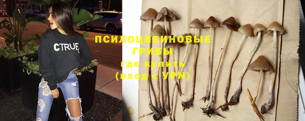 стаф Абаза