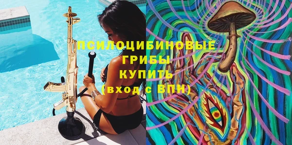 стаф Абаза