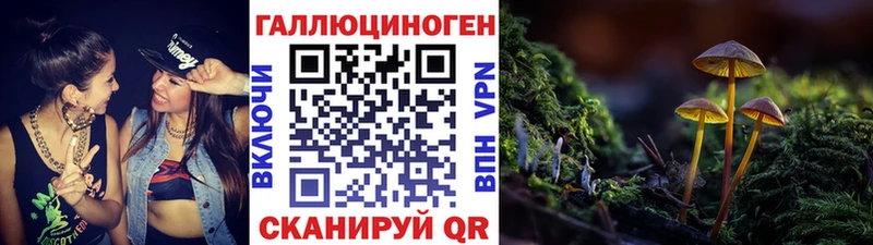 Псилоцибиновые грибы MAGIC MUSHROOMS даркнет сайт Алагир